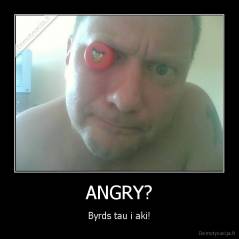 ANGRY? - Byrds tau i aki!