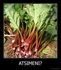 ATSIMENI? - 