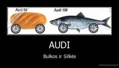 AUDI - Bulkos ir Silkės