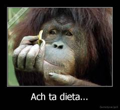 Ach ta dieta... - 