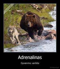 Adrenalinas - Gyvenimo variklis