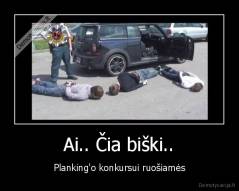 Ai.. Čia biški.. - Planking'o konkursui ruošiamės