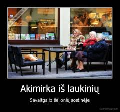 Akimirka iš laukinių - Savaitgalio šėlionių sostinėje