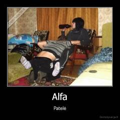 Alfa - Patelė