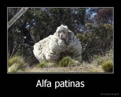 Alfa patinas - 