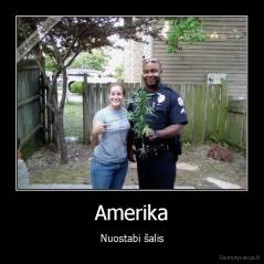 Amerika - Nuostabi šalis