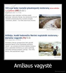 Amžiaus vagystė - 