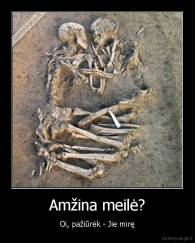 Amžina meilė? - Oi, pažiūrėk - Jie mirę