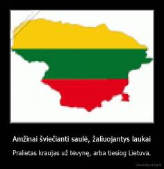 Amžinai šviečianti saulė, žaliuojantys laukai - Pralietas kraujas už tėvynę, arba tiesiog Lietuva.