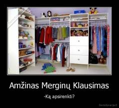 Amžinas Merginų Klausimas - -Ką apsirenkti?