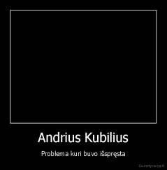 Andrius Kubilius - Problema kuri buvo išspręsta