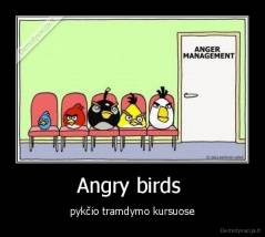 Angry birds  - pykčio tramdymo kursuose