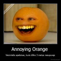 Annoying Orange  - Vienintelis apelsinas, kuris išliko 3 metus nesupuvęs