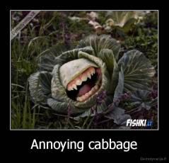 Annoying cabbage - 