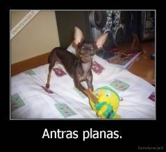 Antras planas. - 