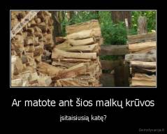 Ar matote ant šios malkų krūvos - įsitaisiusią katę?