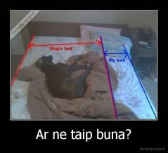 Ar ne taip buna? - 