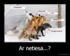 Ar netiesa...? - 