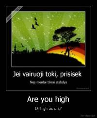 Are you high - Or high as shit?