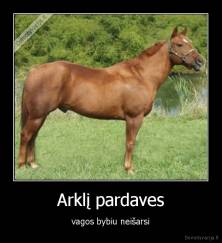 Arklį pardaves - vagos bybiu neišarsi