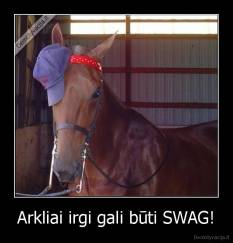 Arkliai irgi gali būti SWAG! - 