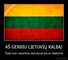 AŠ GERBIU LIETUVIŲ KALBĄ! - Todėl man nepatinka demotyvacijos su klaidomis