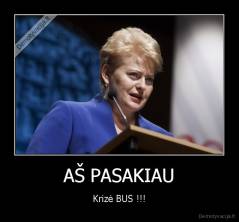 AŠ PASAKIAU - Krizė BUS !!!