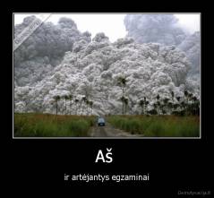 Aš  - ir artėjantys egzaminai