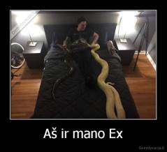 Aš ir mano Ex - 