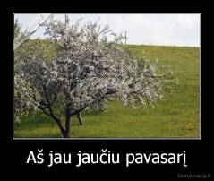 Aš jau jaučiu pavasarį - 