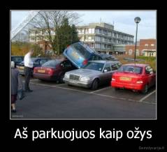 Aš parkuojuos kaip ožys - 