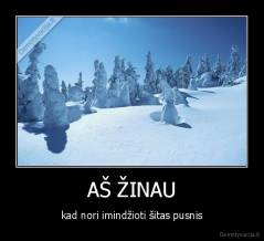 AŠ ŽINAU - kad nori imindžioti šitas pusnis