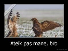 Ateik pas mane, bro - 