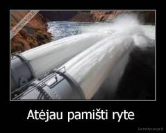 Atėjau pamišti ryte  - 