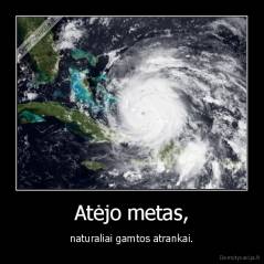 Atėjo metas, - naturaliai gamtos atrankai.