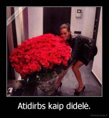 Atidirbs kaip didelė. - 