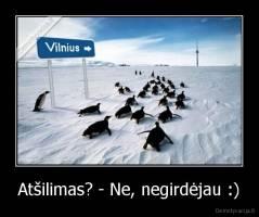 Atšilimas? - Ne, negirdėjau :) - 