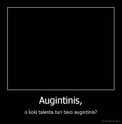 Augintinis, - o koki talenta turi tavo augintinis?