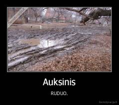 Auksinis - RUDUO.