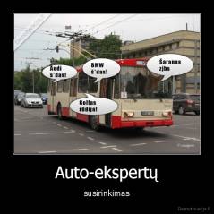 Auto-ekspertų - susirinkimas