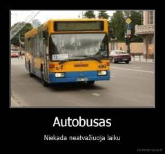 Autobusas - Niekada neatvažiuoja laiku