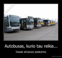 Autobusas, kurio tau reikia... - Visada atvazuos paskutinis