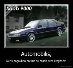 Automobilis, - Kuris pagaidina erelius su žalialapėm kregždėm