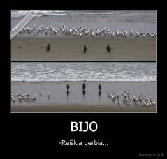 BIJO - -Reiškia gerbia...