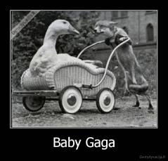 Baby Gaga - 