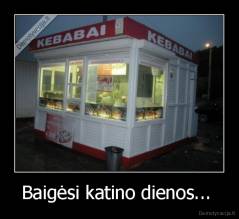 Baigėsi katino dienos...  - 