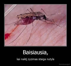 Baisiausia, - kai naktį zyzimas staiga nutyla