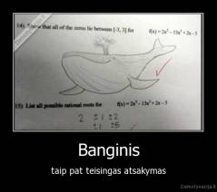 Banginis - taip pat teisingas atsakymas