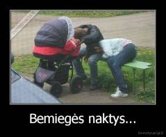 Bemiegės naktys... - 