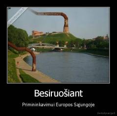 Besiruošiant - Primininkavimui Europos Sąjungoje